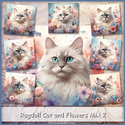 Ragdoll Cat and Flowers Mix 2