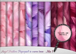 Angel Feathers Paperpack in warm tones - Mix 1