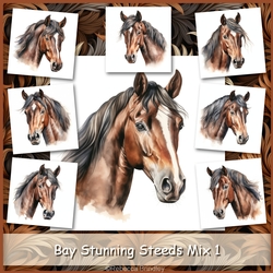 Bay Stunning Steeds Mix 1