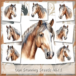 Dun Stunning Steeds Mix 1