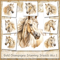 Gold Champagne Stunning Steeds Mix 1