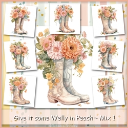Give it some Welly in Peach - Mix 1
