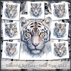 Beautiful Big Cats - Snow Tiger Mix 1
