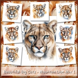 Beautiful Big Cats - Mountain Lion Mix 1
