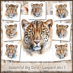 Beautiful Big Cats - Leopard Mix 1