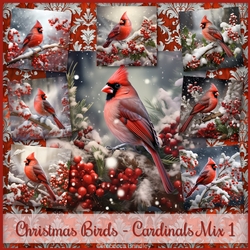 Christmas Birds - Cardinals Mix 1