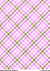 Well Plaid Spring Paper 6