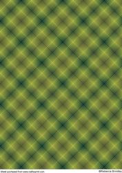 Well Plaid Spring Paper 2