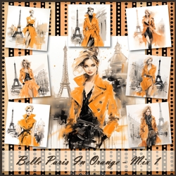 Belle Paris In Orange - Mix 1