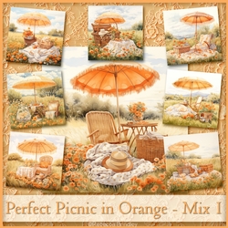 Perfect Picnic in Orange - Mix 1