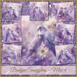 Budgie Snugglers - Mix 4