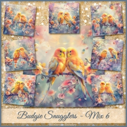 Budgie Snugglers - Mix 6