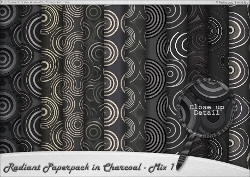 Radiant Paperpack in Charcoal - Mix 1