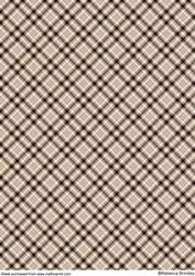 Well Plaid Autumn Paper 8