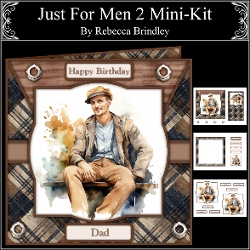 Just For Men 2 Mini-Kit