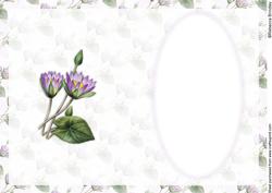 Purple Lotus Flower Insert