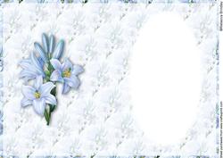 Blue Lilly Insert