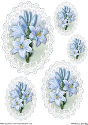 Blue Lilly Toppers