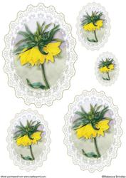 Yellow Crown Imperial Toppers
