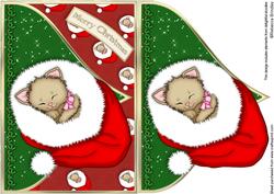Sleepy Kitty Christmas Envelope Card Front
