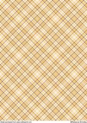Earthy Plaid Backing Paper 9