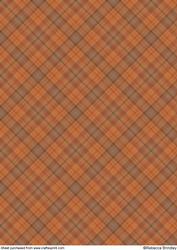 Earthy Plaid Backing Paper 5