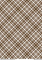 Earthy Plaid Backing Paper 4