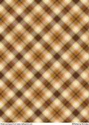 Earthy Plaid Backing Paper 2