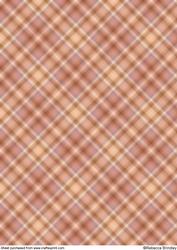 Earthy Plaid Backing Paper 1