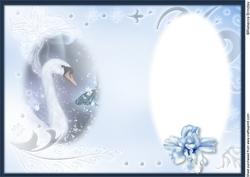 Midnight Swan in Blue Insert