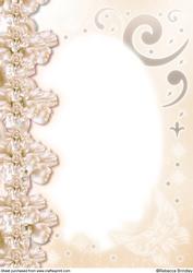 Midnight Swan in Peach A4 Insert