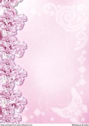 Midnight Swan in Pink Backing Paper 2