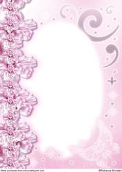 Midnight Swan in Pink A4 Insert