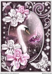 Midnight Swan in Pink A4