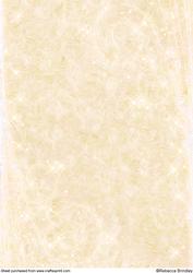 Fluffy Sparkles Backing Paper in Peach