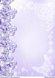 Midnight Swan in Purple Backing Paper 2