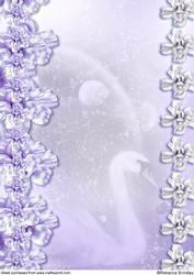 Midnight Swan in Purple Backing Paper 1