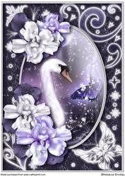 Midnight Swan in Purple A4