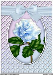 A Delicate Blue Rose A4