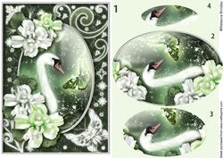 Midnight Swan in Green Pyramid