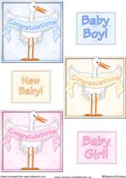 Baby Stork Toppers