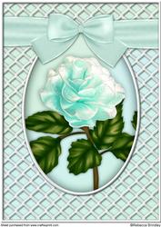 A Delicate Mint Rose A4
