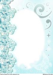 Midnight Swan in Turquoise A4 Insert