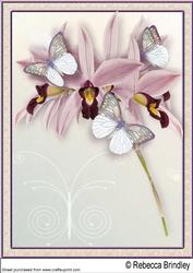 Butterflies and Orchids A4