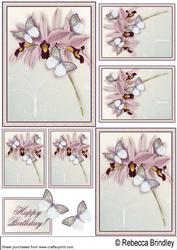 Butterflies and Orchids Toppers