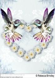 Love Birds A4