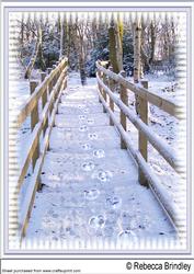 Reindeer Tracks? A4