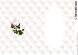 Two Halves of the Same Soul Insert
