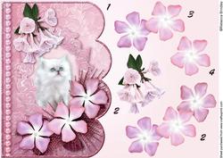 Dreamy Kitten 6 Scalloped Edge Card Decoupage
