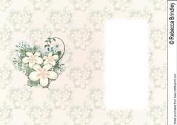 Floral Visage in Cream - Insert